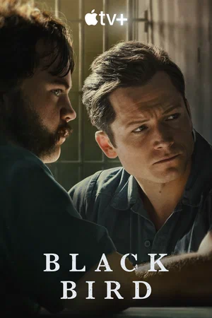 Чёрная птица (сериал, 2022) 1 сезон смотреть онлайн на Лордфильм